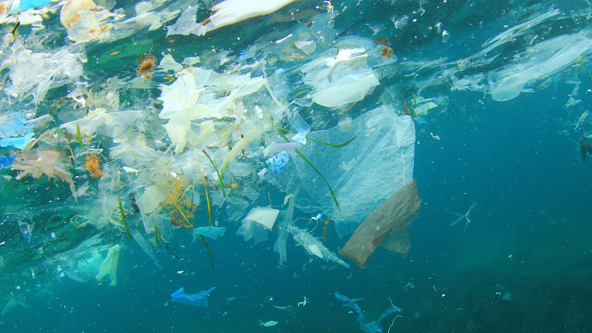 plastic in our oceans